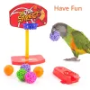 Toys Bird Training Toy Supplies, Basketball Stand, Lovebird Shopping Cart, Shoes, Canary Skateboard, Parrot Accessories