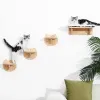 Grattoirs pour chat, arbre d'activité pour chat, étagères murales suspendues en bois avec marches, escalier et plate-forme de saut, meubles d'escalade pour animaux de compagnie