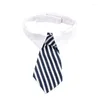 Hundkläder Pet Bow Tie Bowknot Collar Grooming Product för katter