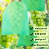 Covers 100PCS Garden Fruit Protection Bags Grape Apple Nonwoven Fabric Breathable Antibird Pocket Pest Control