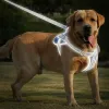 Harnassen kimpets hondenharnas vest labrador retriever borstkleding touw medium grote hond reflecterende verstelbare buiten wandelende huisdierenbenodigdheden