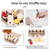 Boîte aveugle d'œufs inviolable, jouets pour chiens renifleurs, jeu interactif, libération du Stress, fournitures de Puzzle pour animaux de compagnie, épuisement de la maison