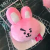 Kussens Kawaii Kpop Star Anime Perifere Bangtan Jongens Afbeelding Knuffels Decoratieve kussens Dier Schapen Koala Konijn Hond Meisje Kerstcadeau