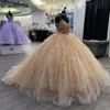 Iluzja Rose Gold Illusion Kryształowe sukienki Quinceanera suknia balowa 3D Butterfly Plat Corset Vestidos de 15 anos