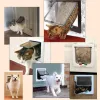Burar Freedom Dog Security Door For Pet Kitten Katter Klaffdörr för inomhus utomhus kallt väderflik husdjur husdörr dörr
