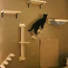 スクラッチャー猫の登山棚の壁に取り付けられたハンモック4レイヤーはしごとジャンププラットフォームのスクラッチポストと爪と休息のためのポスト