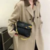 Chain pleated bag for womens 2024 new spring single shoulder crossbody bag Miao family high-end feeling chain single shoulder crossbody bag