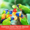Feeding Bird Toy Skewer Fruit Spear Hanging Holder Pet Parrot Parakeet Meat Feeding Fork Stainless Steel Stick For Vegetable Skewer