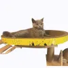 Toys Cat Scratcher Wellgerte Kratzerplattenkarton Lounge Bett Kratzpadnest Möbel Schützen Kätzchen Training Spielzeug