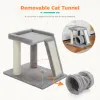 Scratchers Small Cat Tree with Cat Play Tunnel Cat Tower Cat Scratching Post with Large Top Cat Perch and Scratching Board for Indoor Cats