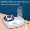 Alimentation Amour coeur bols pour animaux de compagnie chien nourriture distributeur d'eau en acier inoxydable animal de compagnie plat à boire mangeoire chat chiot fournitures d'alimentation accessoires pour chiens