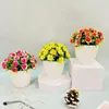 Simulation de fleurs décoratives en pot, petit chrysanthème sauvage, bonsaï, décoration réaliste pour la maison, faux ne se décolore pas