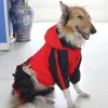 Raincoats Small Medium XL Dog Rain Coat Jumpsuit Raincoat Poodle Samoyed Husky Golden Retriever Vattentäta kläder för hunddräkt