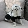 Ubrania kota sukienka pokojówka i kapelusz urocze kustki kota ubrania kociak zwierzak