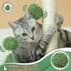 Scratchers Cat Scratching Post 33 inch Tall Scratching Post for Cats Large Cat Scratching Post w/ Sisal Rope Cat Scratcher for Indoor Cats