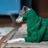 セーターズグリーンタートルネック厚いペットセーターイタリアングレイハウンドホイペットトゥワリグニット犬の服