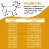 Collars Stainless Steel Dog Chain Collars 19mm Width Silver Metal Pets Necklace Golden Cuban Link Chain for Small Big Dogs