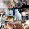 Grooming 100st Cat Nail Caps/Tips Pet Cat Kitty Soft Claws Cover Control Paws of 10 Nails Caps och 5st Adhesive Glue 5 Applicator