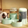 Forniture Distributore automatico di cibo per acqua per gatti Contenitore per mangiatoia per cani di grande capacità Contenitore per acqua potabile filtrato Ciotola per gravità Forniture per animali domestici Accessori