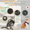 Vêtements Harnais Tactique en Nylon pour Chat pour la Marche Gilet pour Animaux de Compagnie en Maille Souple réglable Anti-évasion, vêtements de Poitrine pour Grands Chats Adultes Petit Chien