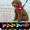Leashes Nylon LED Dog Harness Pet Product blinkande ljus Harness Led Dog Collar Vest Pet Antilost Lysande sele hundtillbehör