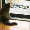 おもちゃ猫おもちゃインタラクティブトラックボールおもちゃ猫実践窓吸引カップトラックボールペットアクセサリーボールキャットおもちゃ窓