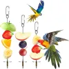 Alimentare il giocattolo per uccelli spiedini di frutta per la lancia appesa al piante parrocchetto per alimentazione aderente in acciaio inossidabile per l'insola vegetale