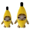 Coussins banane chat moelle