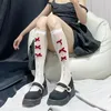 Women Socks Elastic Lolita Style Jk Long Lace Cute Bow Stockings Ladies Transparent Hollow Out Womens High Knee 2pairs