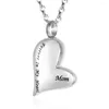 Pendant Necklaces Cremation Jewelry Forever In My Heart Urn Necklace For Ashes Holder Keepsake Memorial Dad/Mom/Sister