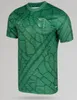 2023 2024アイリッシュオリジンポロサッカージャージ120年限定版Kyogo Jota Ajeti Ireland 23 24 McGregor Turnbull Football Shirt Carter-Vickers Celtic Special