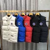 Gilet da uomo firmati Moda Corsetto corto Giacche Gilet caldo da esterno Cappotto da donna Colletto alla coreana Stile spesso Giacca a vento Tasca