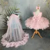 Girl Dresses Flower Dress Pink Fluffy Tulle Skirt Beaded Sparkly Wedding Elegant Baby First Communion Party