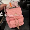 Luxury Esign Letter Plaid Backpack Womans Embroidered Oil Wax Leather Book Bag Cc Bag Vintage Handbag Real Leather Messenger with box