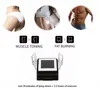 Hot Sell Fat Reduction EMS 4 HANDLAR RF BODY SCULPTING DIODE LASER MASKAN