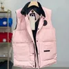 Gilet da uomo firmati Moda Corsetto corto Giacche Gilet caldo da esterno Cappotto da donna Colletto alla coreana Stile spesso Giacca a vento Tasca