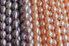 Beads Fine Natural Freshwater Quality Pearl Rice Purple Loose Pearls For DIY Charm Bracelet Necklace Jewelry Accessories Making ZZ