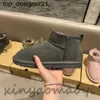 Nouveau 23ss Designer bottes de neige mini chaussures à pain chaussures en coton à semelles fines talons confort d'hiver chaussures de neige australiennes bottes pour femmes