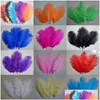 Party Decoration Teal Blue Natural Ostrich Feathers Decor 10-1225CM-30CM DIY Craft Headdresses Delivery Drop Home Garden Festive Suppl Dhfxt