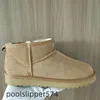 Tasman kapcie kasztanowe śnieg bootssheepskin tazz tazz nowe muły kobiety mężczyźni ultra mini platforma buty but-on buts zamsz górny komfort jesień zimowy rozmiar 35-44