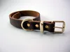 Dog Collars Collar Pet Leather Set Puppy Teddy調整可能なネックレスのリード