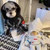 Pet Dog Hoodie Sweatshirt Cotton Schnauzer Falcon Teddy Spring Autumn Warm Printed Astronaut Doll Pendant Pullover