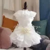 ملابس ألعاب الكلاب Pet Party Dress White Wedding Cat and Lace Gauze Princess Clothing BF1173