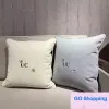 Cushion Home Textiles Car Wholesale Fashion Sofa Cashmere Pillowcase Designer Decorative Throw Pillow Letter