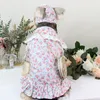 Husdjursspetsklänning Schnauzer Teddy Poodle Puppy Summer Flower Lapel kjol Söt valpkläder