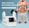 Popular entrenador muscular de 2 asas, quemagrasas, estiramiento de la piel, uso personal, electromagnético, Reduce la grasa del vientre, EMS, máquina de belleza delgada