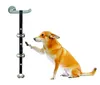 Dog Doorbell Rope Pet Safe Leash Rope Anti-Dog Grab Bite With Alarm Bells For Dog Training Safe Bite-resistant