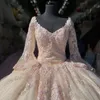 Rosa Ballkleid mit V-Ausschnitt, Quinceanera-Kleider, Applikationen, Spitze, Perlen, langärmelig, Prinzessin, Geburtstagsfeier, Abendkleid, für 15 Jahre