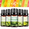 Wierook 10 ml puur fruitgeur diffuser essentiële oliën watermeloen limoen kokosnoot aroma smaakolie voor spa kaarsenzeep maken x0902