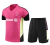 23 24 Juventus Soccer Jerseys Kort ärmar Training Suit Pogba Di Maria Vlahovic Chiesa 2023 2024 Tracksuit Men Kids Kit Set Football Kit Uniform Sportwear